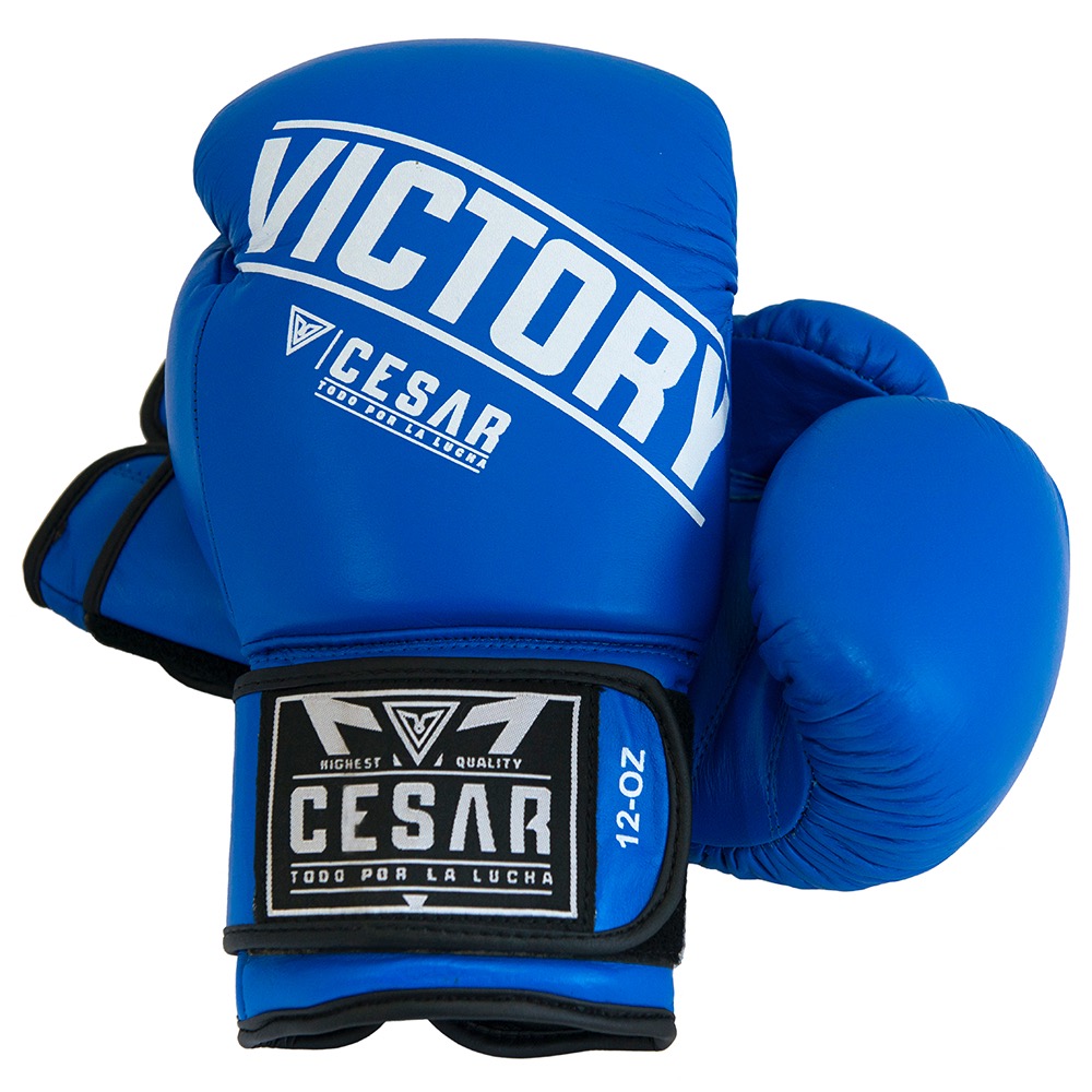 Embajador Teleférico Ajustable Guantes de boxeo azules serie Victory - Cesar Contact